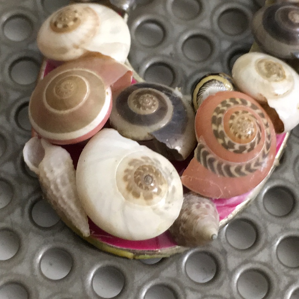 Multiple Shells Earrings - image 8